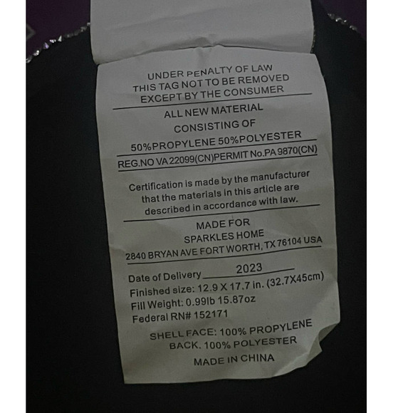 TIK TOK VIRAL Rhinestone Sugar Skull Halloween 2023 Decorative Pillow New - Picture 6 of 7